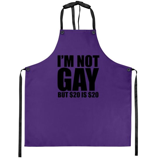 I Am Not Gay But $20 Is $20 College Apron