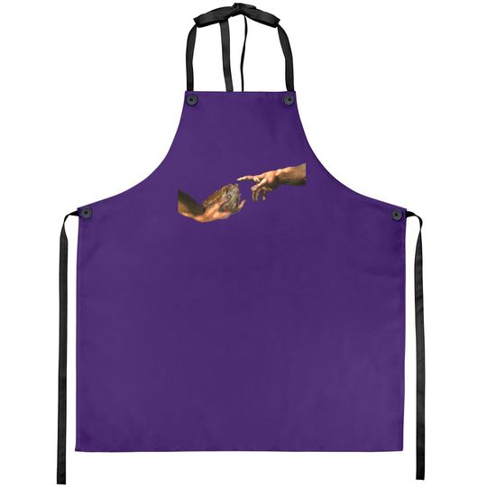 Michelangelo's Toad Parody, Creation Of A Toad Frog Apron