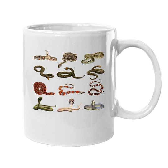 Different Types Of Snakes Boys Girl Educational Serpent Coffee Mug