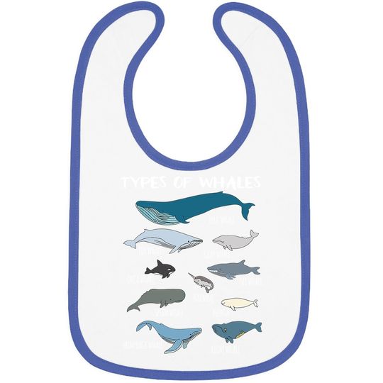 Types Of Whales Cute Ocean Mammals Guide Baby Bib
