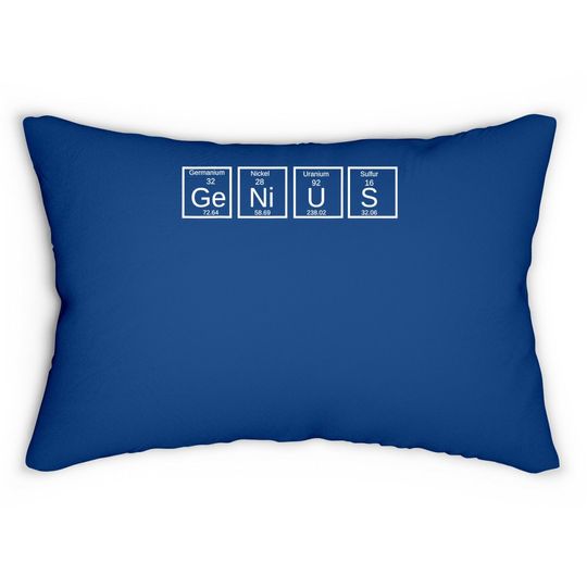 Ge Ni U S Genius Element Lumbar Pillow