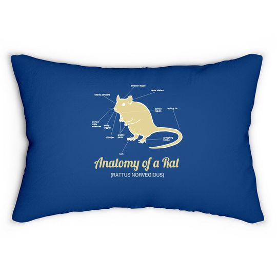 Anatomy Of Pet Rat Lumbar Pillow