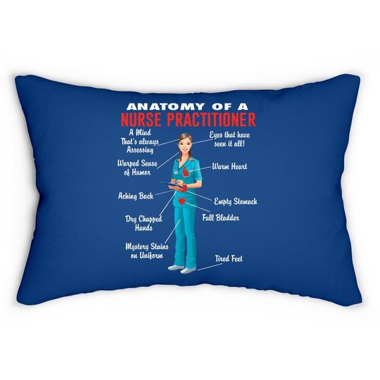 Anatomy Of A Nurse Practitioner Nurse Practitioner Lumbar Pillow