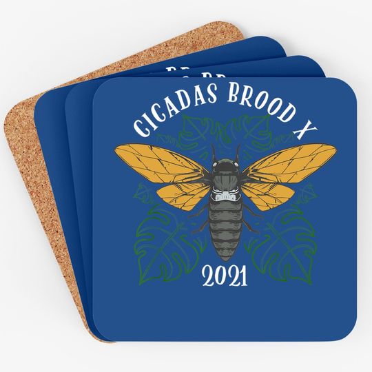 Coaster Cicada Brood X 2021