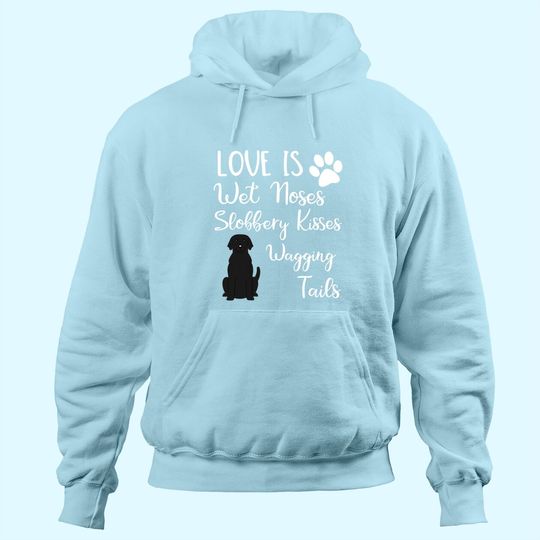Black Labrador Retriever Love My Dog Saying Quotes Hoodie