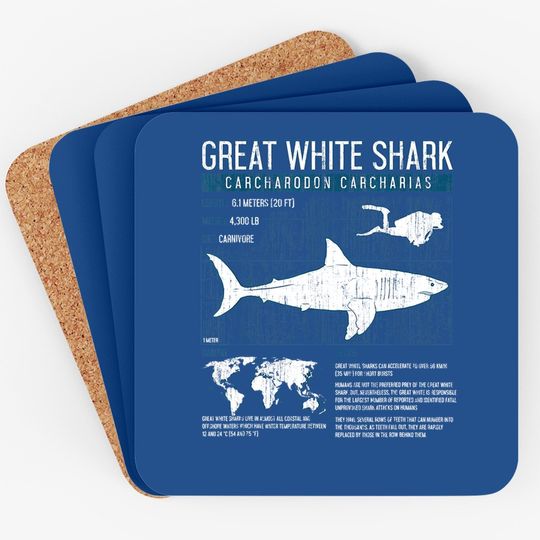 Great White Sharks Coaster