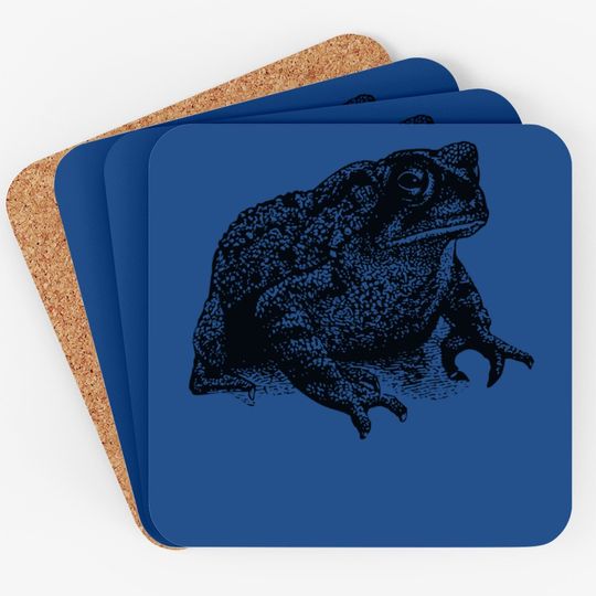 Fat Toad Minimalist Frog Amphibian Biology Realistic Coaster