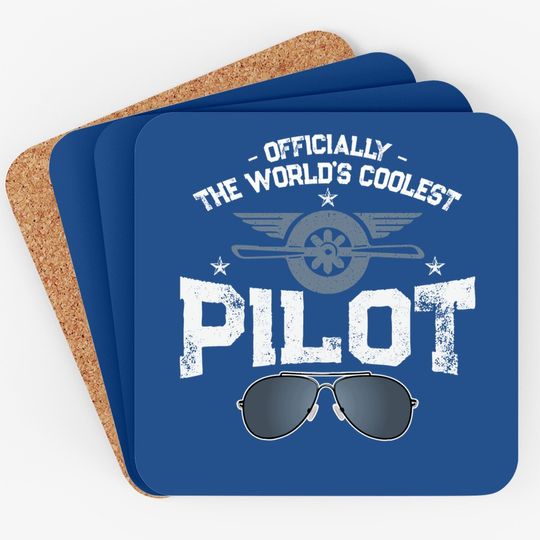 ly The World's Coolest Pilot Civil Aviation Flight Coaster