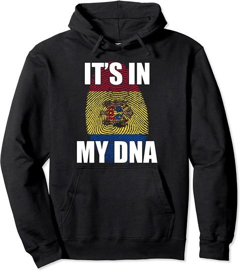 It's In My DNA Moldovan Flag Pullover Hoodie