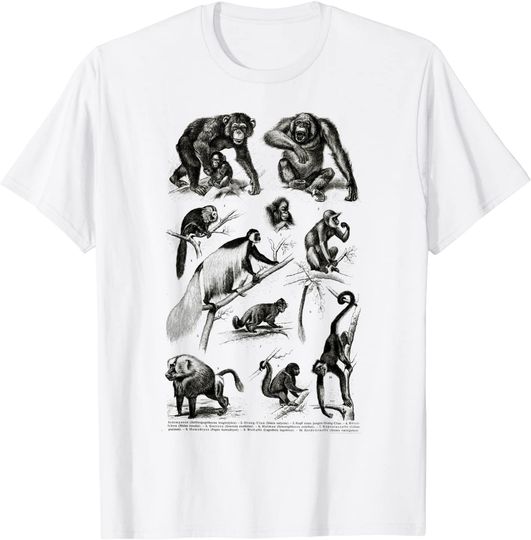 Vintage Monkeys Apes Chimpanzee Primates Evolution T Shirt