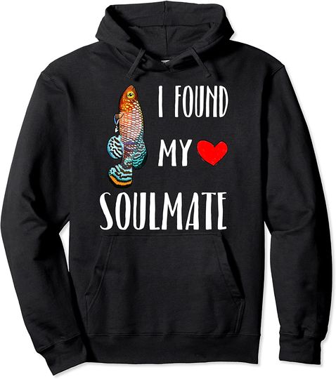 I Found My Soulmate Killifish Fish Lover Best Friend Pullover Hoodie