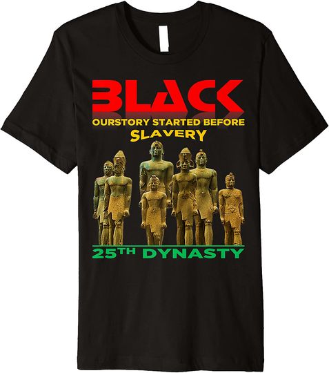 BLACK HISTORY DIDN'T START AT SLAVERY T-SHIRT