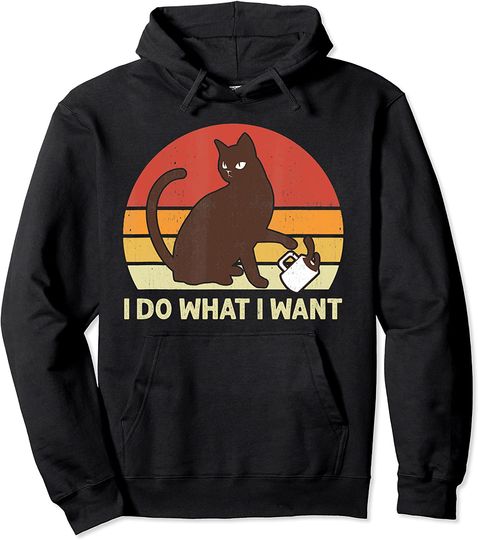 I Do What I Want Sunset Funny Cat Pullover Hoodie