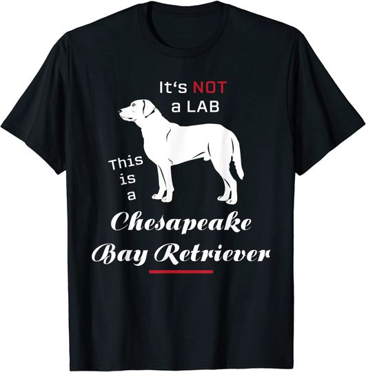 It's Not A Lab This Is A Chesapeake Bay Retriever T-Shirt