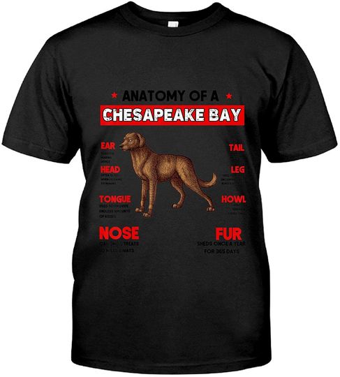 Anatomy of a Chesapeake Bay Retriever Dog T Shirt