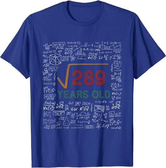Math Square Root Of 289 Vintage 17th Birthday 17 Years Old T-Shirt