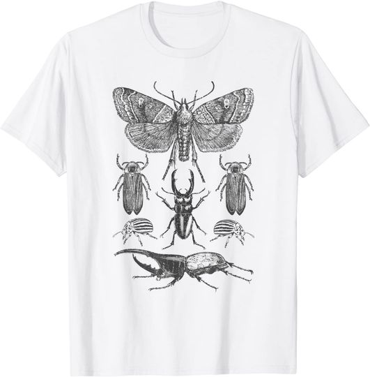 Insect Bug Collection Shirt Moth Stag Beetle Cicada T-Shirt