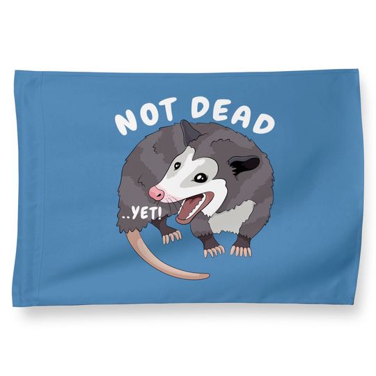 Screaming Possum House Flags Not Dead ..Yet! Funny Possum Trash Opossum Meme