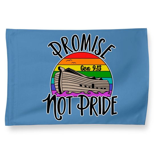 Noah's Ark Genesis 9:13 Rainbow God's Promise Not Pride House Flag