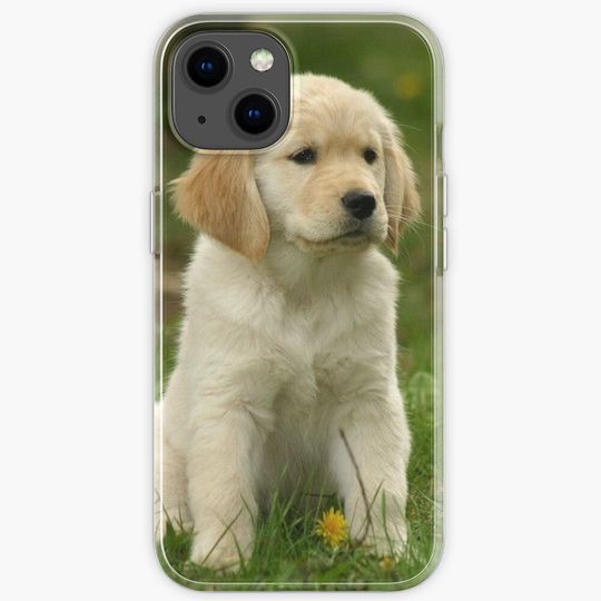 Golden Retriever! Puppy! iPhone Case