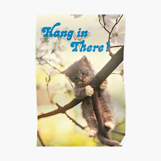 Nice Cat Hang In There Poster Premium Matte Vertical Poster