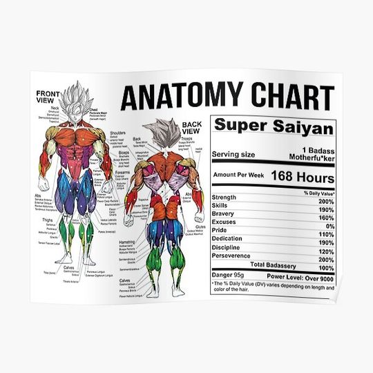 Saiyan Anatomy Chart - Muscle Diagram Premium Matte Vertical Poster