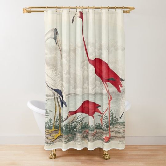 Ibis and Flamingo Vintage Print Shower Curtain