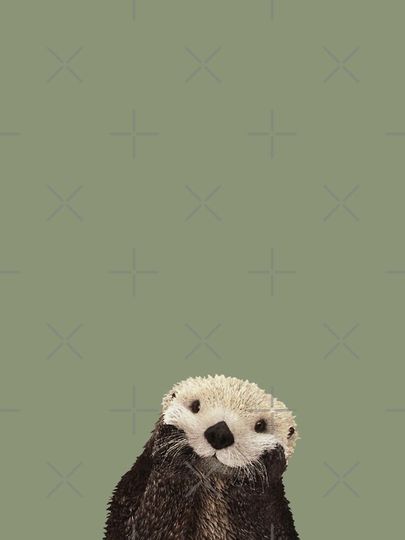 Cute Sea Otter on Sage Green Solid. Minimalist. Clean. Coastal. Adorable iPhone Case