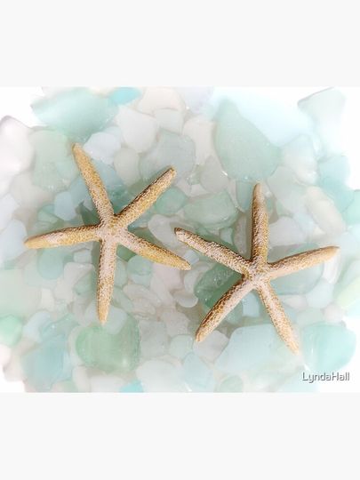 Seaglass and Starfish Shower Curtain