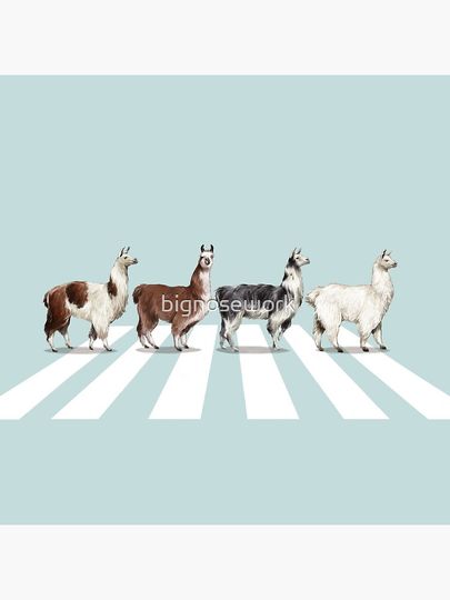 Llama The Abbey Road #1 Pillow