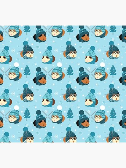 Cute Guinea Pig with Snowflake in winter Socks