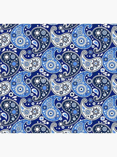 Blue and White Paisley Print Socks