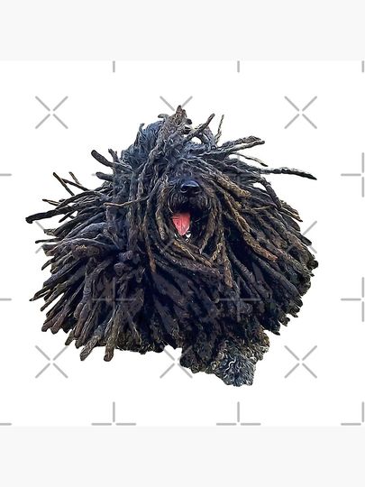 Hungarian Puli Puppy Dog Dreadlocks Pillow