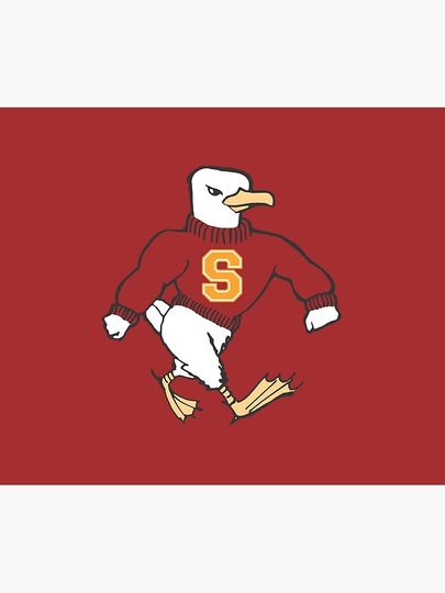 Salisbury University Throw Blanket