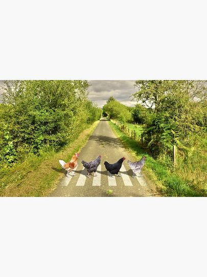 Chicken Abbey Road Premium Matte Vertical Poster