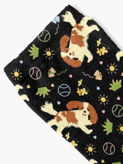 Playing Cavalier King Charles Spaniel - Black Socks