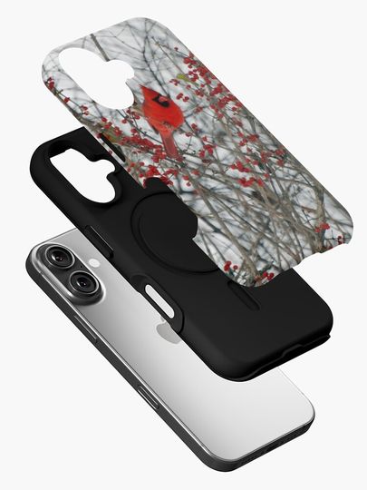 Cardinal  iPhone Case