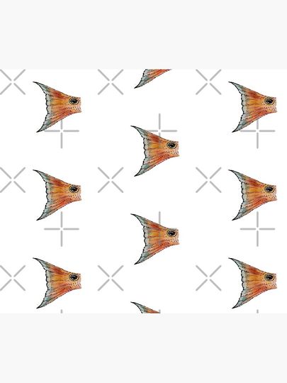 THE REDFISH TAIL Shower Curtain