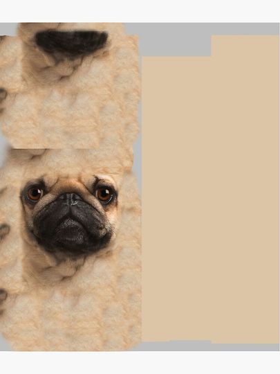 Giant Pug Face  Backpack