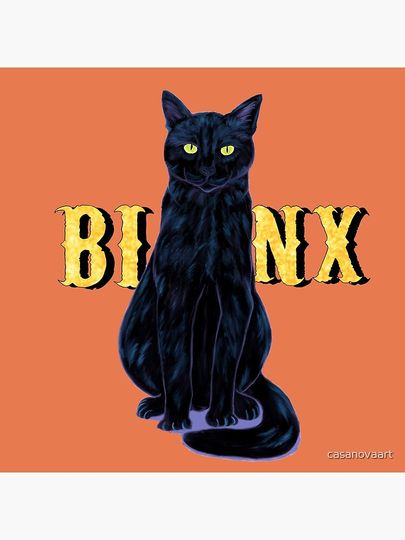 Black Cat Binx Halloween  Pillow