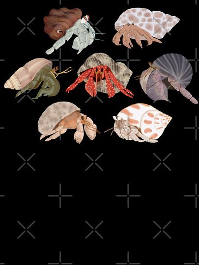 Hermit Crabs Pattern Kids T-Shirt