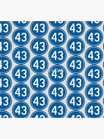 Raul Mondesi #43 Jersey Number Socks
