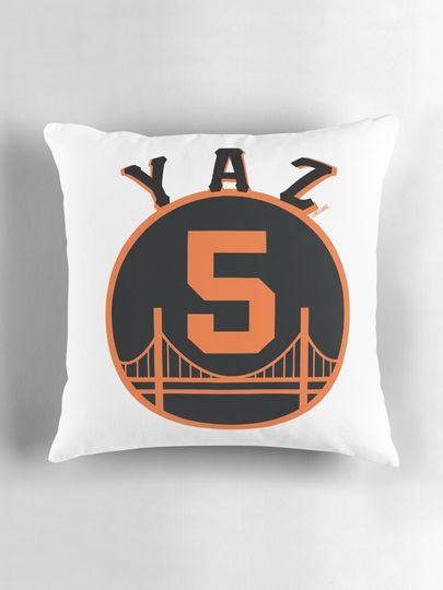 Yaz #5 Pillow