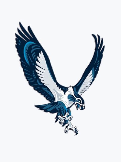 Seattle Seahawks iPhone Case
