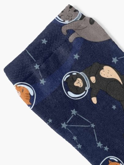 Space Meows Socks
