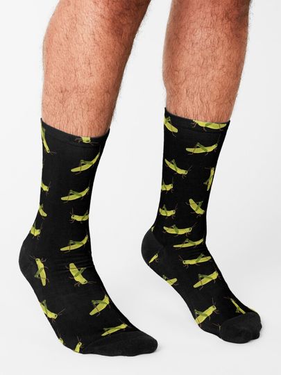 Grasshopper cricket insect. Grasshopper bug. Socks
