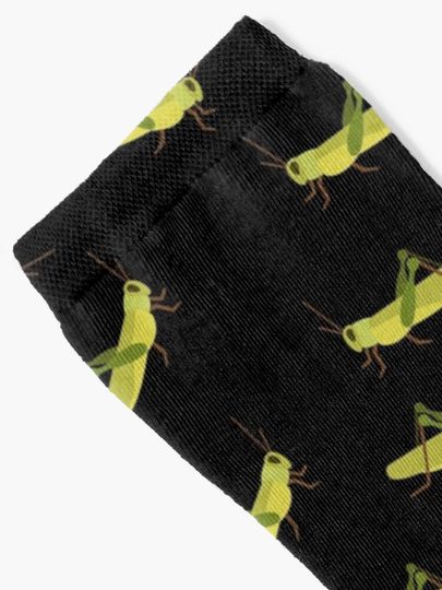 Grasshopper cricket insect. Grasshopper bug. Socks