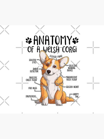 Funny Welsh Corgi Dog Anatomy Dog Owner Dog Lover Mouse Pad
