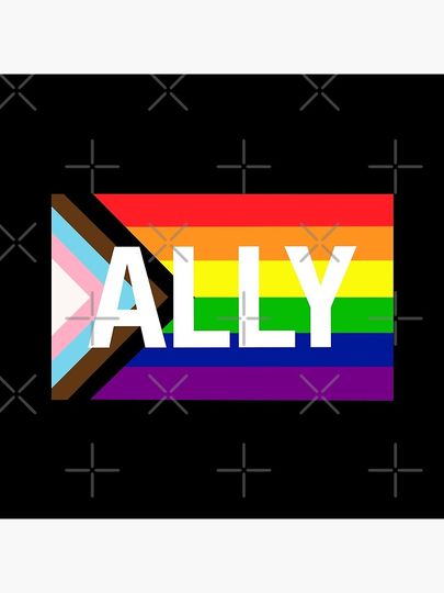 Progress Pride Flag ALLY Pin
