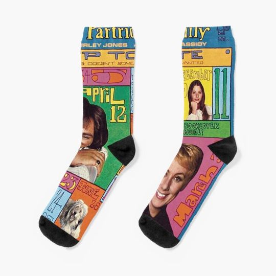 Partridge Family - Up to Date Socks